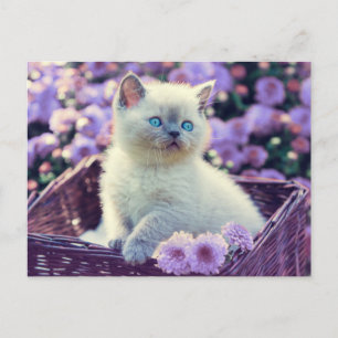Lägg till din egen fotokit Lilac blommor Vykort