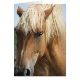 Lägg till din egen text! hälsningskort