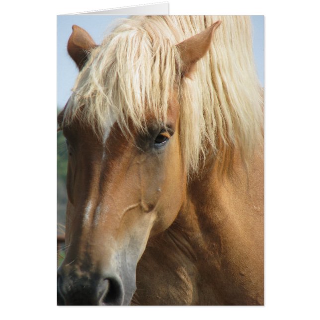 Lägg till din egen text! hälsningskort (Framsidan)