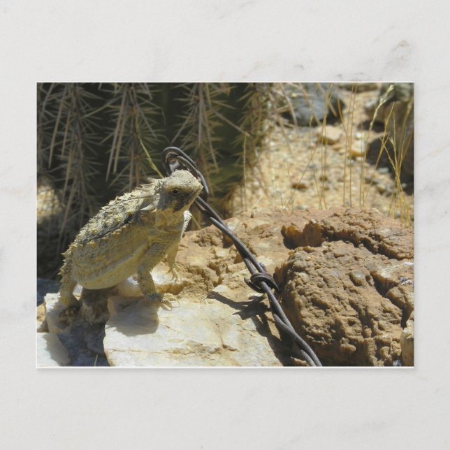 LÄGG TILL DIN EGEN TEXT I Godzillas position Vykort (Framsida)