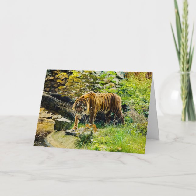 Lägg till din egen text Tiger Kort (Framsida)