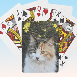 Lägg till din utmärkta fotokvalitet i Kattunge Casinokort