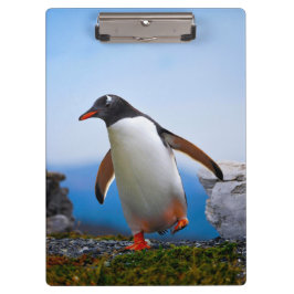 Lägg till dina egna Anpassningsbar för bildfotomal