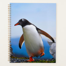 Lägg till dina egna Anpassningsbar för bildfotomal