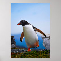 Lägg till dina egna Anpassningsbar för bildfotomal