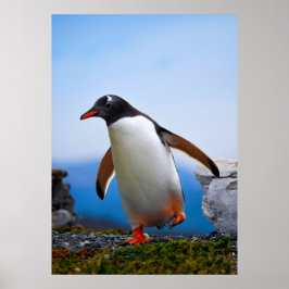 Lägg till dina egna Anpassningsbar för bildfotomal Poster