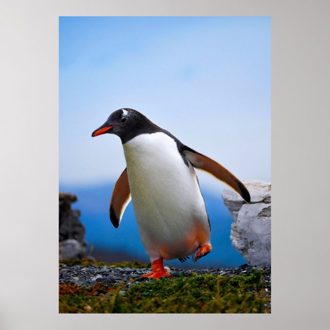 Lägg till dina egna Anpassningsbar för bildfotomal Poster (Framsidan)