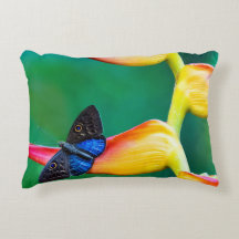 Lägg till dina egna Anpassningsbar för bildfotomal