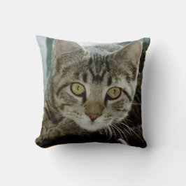 Lägg till dina favoritbilder på husdjur r1 kudde