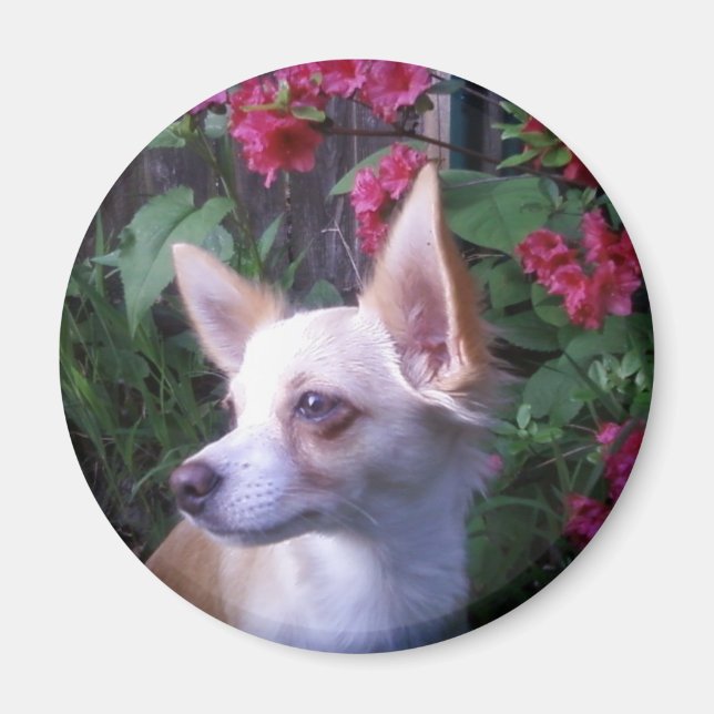 "Lägg till ditt eget foto"-magnet Magnet (Framsidan)