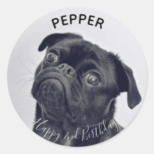 Lägg till ditt eget foto Pet Birthday namn Sticke Runt Klistermärke
