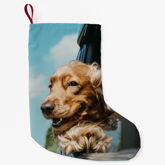 Lägg till ditt eget fotodjur hund  liten julstrumpa (Framsidan)