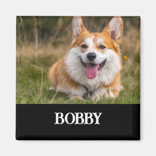 Lägg till ditt eget hund-foto och namn magnet