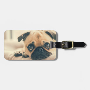 Lägg till ditt eget Pet Pug Photo Travel Luggage T Bagagebricka