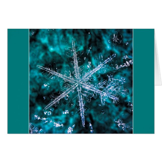 Lägg till ditt eget textkort i Snöflingmakro-foto Hälsningskort (Framsidan Horizontal)