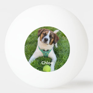 Lägg till ditt foto Hund Foto Barn Foto Familjefot Pingisboll