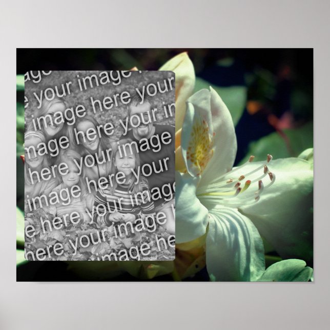 Lägg till ditt foto med vit Azalea Flower Ram Poster (Framsidan)