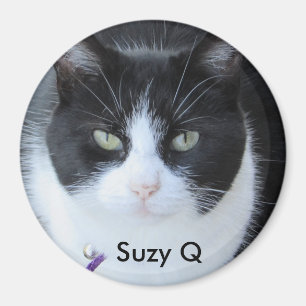 Lägg till ditt Kattfoto i detta kylmagnet Magnet