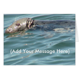 Lägg till ditt meddelande här söta sälkort hälsningskort
