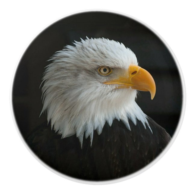 LÄGG TILL EGEN FOTO ELLER TEXT KNOPP (Framsidan)