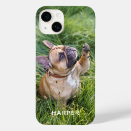 Lägg till eget foto Husdjur Hund Personligt namn