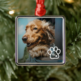 Lägg till eget fotodjur hund monogram julgransprydnad metall
