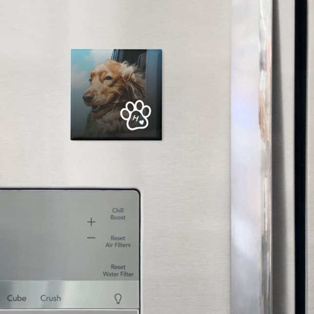 Lägg till eget fotohund-djurmonogram magnet (In Situ (Fridge))