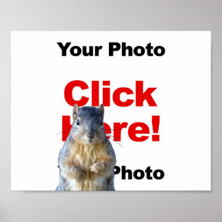 Lägg till en anpassad ekorre-fotoaffisch poster