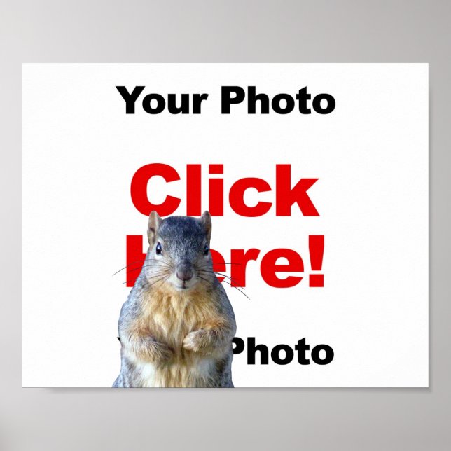 Lägg till en anpassad ekorre-fotoaffisch poster (Framsidan)