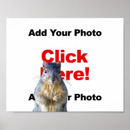 Lägg till en anpassad ekorre-fotoaffisch poster