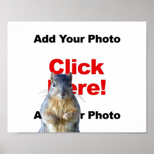 Lägg till en anpassad ekorre-fotoaffisch poster