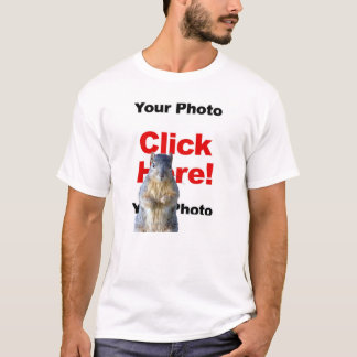 Lägg till en T-shirt med egen bild på en ekorre