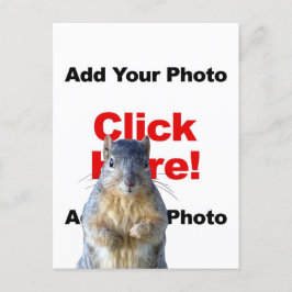 Lägg till ett ekorre anpassat fotobrevkort vykort