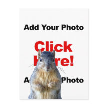 Lägg till ett ekorre anpassat fotobrevkort