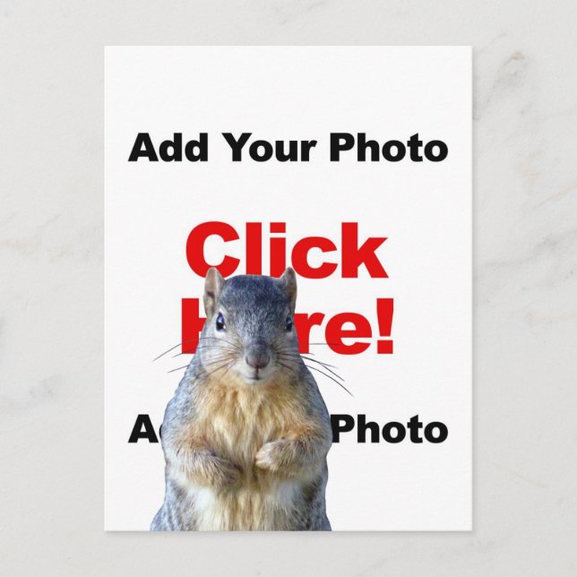 Lägg till ett ekorre anpassat fotobrevkort vykort (Framsida)
