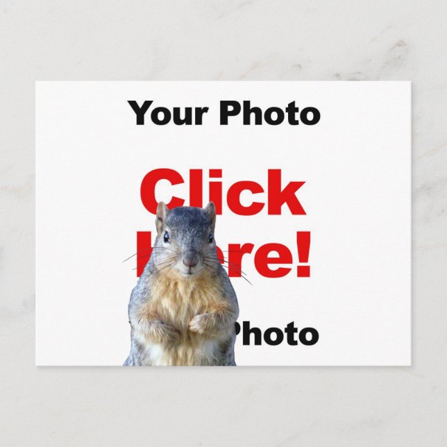 Lägg till ett ekorre anpassat fotokort vykort (Framsida)