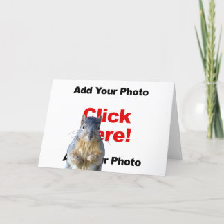 Lägg till ett ekorrt anpassad fotograttiskort kort