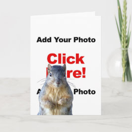 Lägg till ett ekorrt anpassat fotograttiskort kort