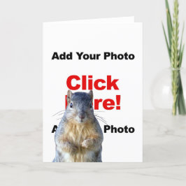 Lägg till ett ekorrt anpassat fotograttiskort kort