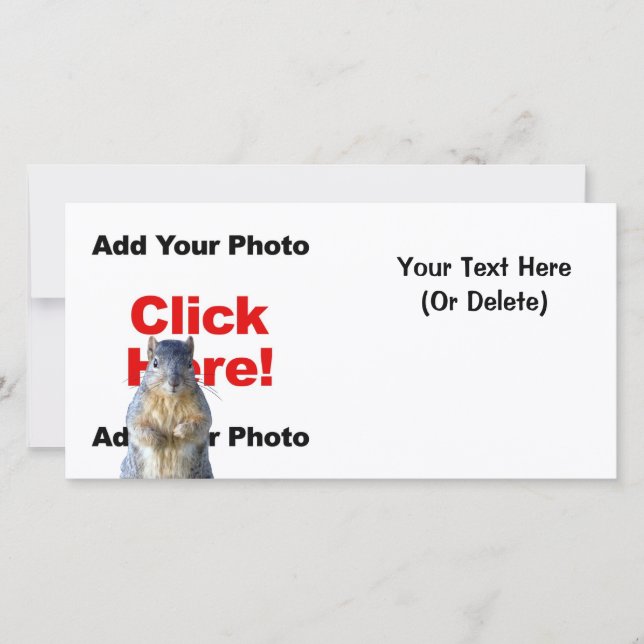 Lägg till ett foto för Anpassningsbarna i ett ekor (Framsida)