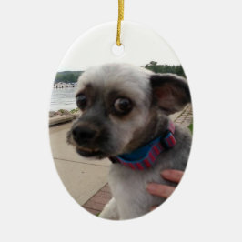 Lägg till foto för din Hund till denna utsmyckning Julgransprydnad Keramik