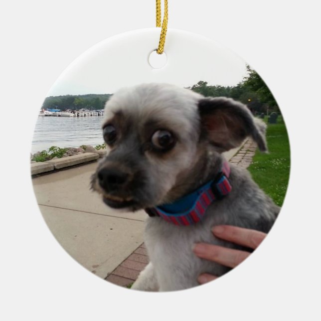 Lägg till foto för din Hund till denna utsmyckning Julgransprydnad Keramik (Framsidan)