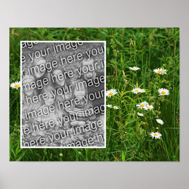 Lägg till foto i daisy Flowers i Fält Poster (Framsidan)
