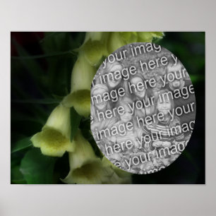 Lägg till foto med intensiv foxgkärlek Flowers Ram Poster