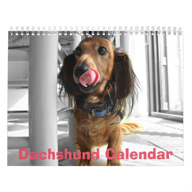 Lägg till foton i Dachshund Calendar 2026 Kalender (Omslag)