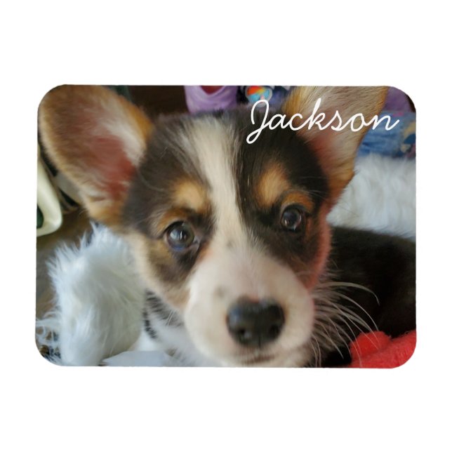 Lägg till fotot för din sällskapsdator till detta magnet (Horisontell)