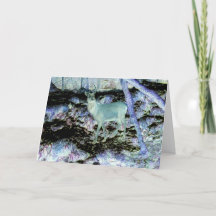 Lägg till Hälsning--kort för rött Hjort