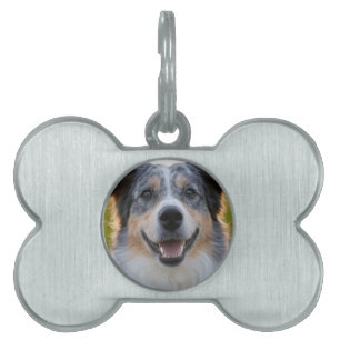 Lägg till husdjursfoto Anpassa ID-bricka Husdjur