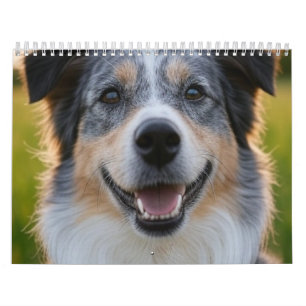 Lägg till husdjursfoto Anpassa Kalender
