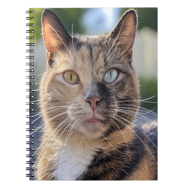 Lägg till kattfoto anpassa anteckningsbok (Framsidan)